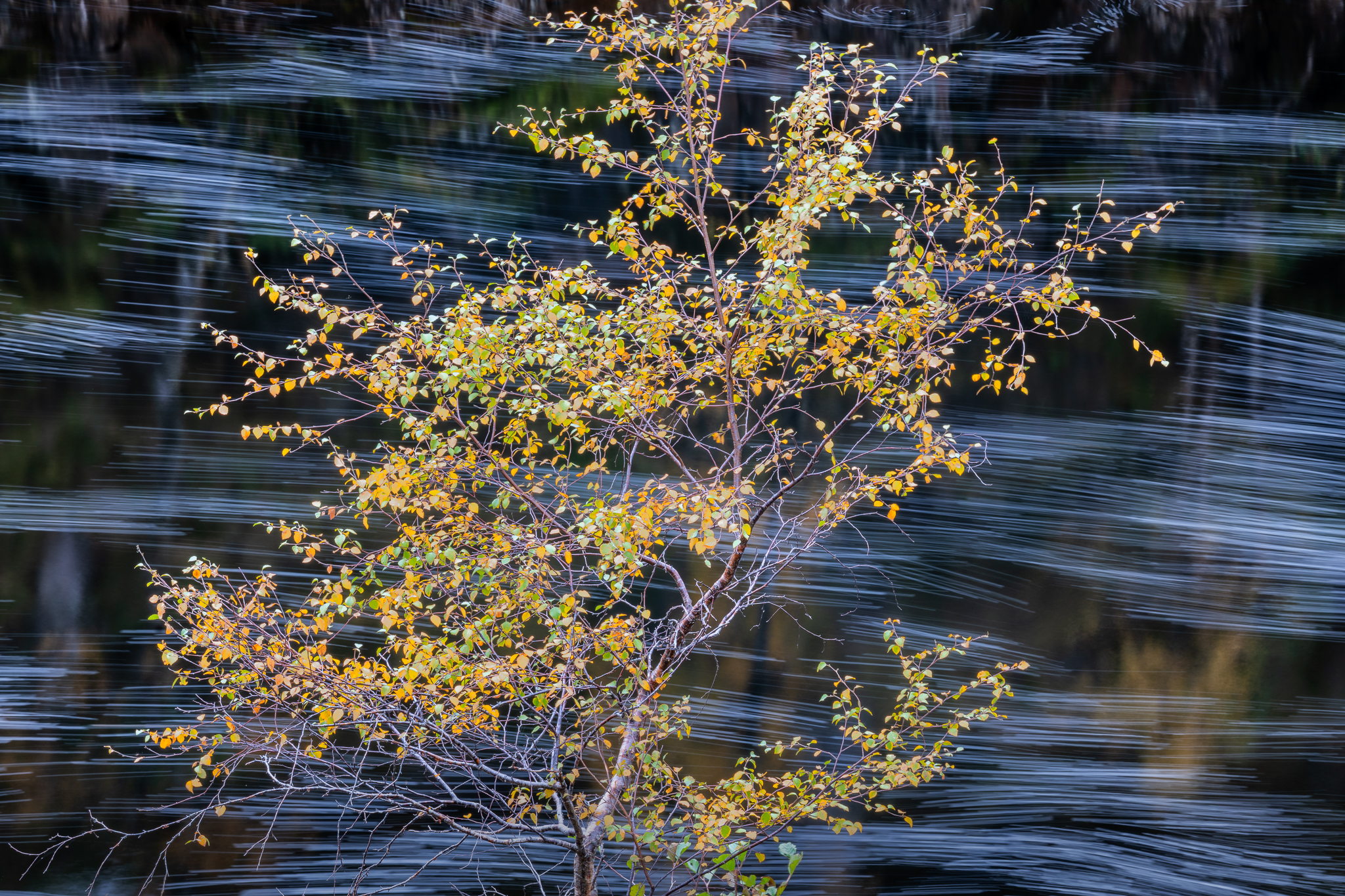 A Moment of Stillness